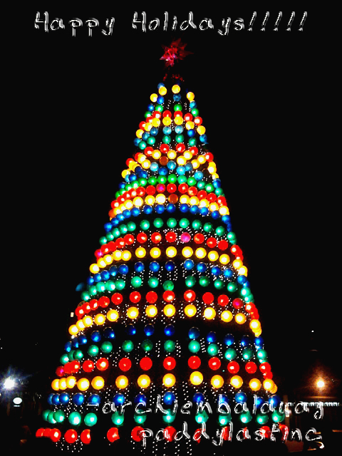 Happy Holidays From PaddylastInc