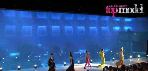 The world's largest aquarium is the setting of the final runway!!!