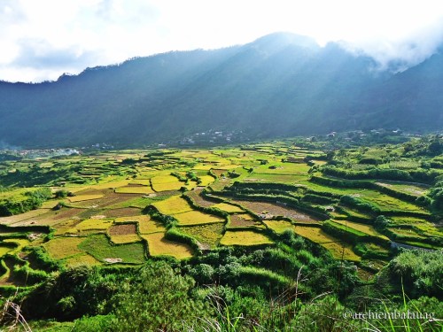 Kapay-Aw Rice Terraces Sagada, June 2013