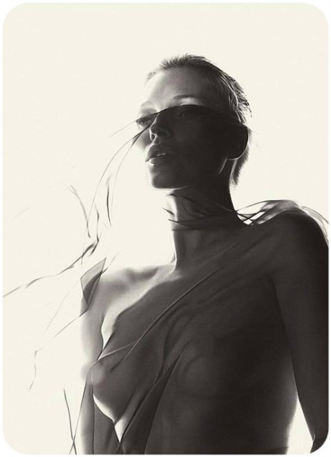 1474521_546331895454848_7409371_n