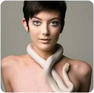 Elyse Sewell [Cycle 1]