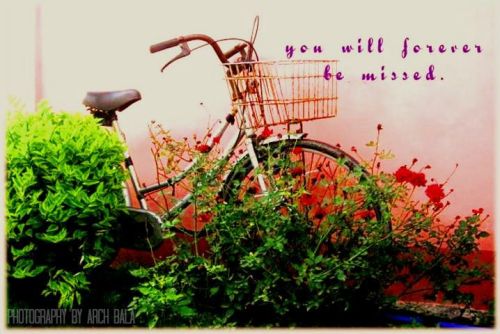 Arch Bala Photography 1