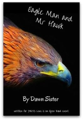 Eagle Man and Mr Hawk
